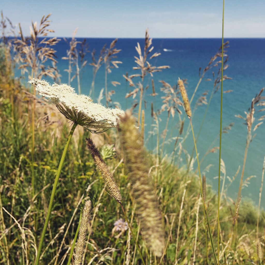 Lion's Den Gorge offers visitors a chance to experience pristine Lake Michigan shoreline and diverse ecosystems, making it a popular destination for nature enthusiasts and outdoor recreationists.